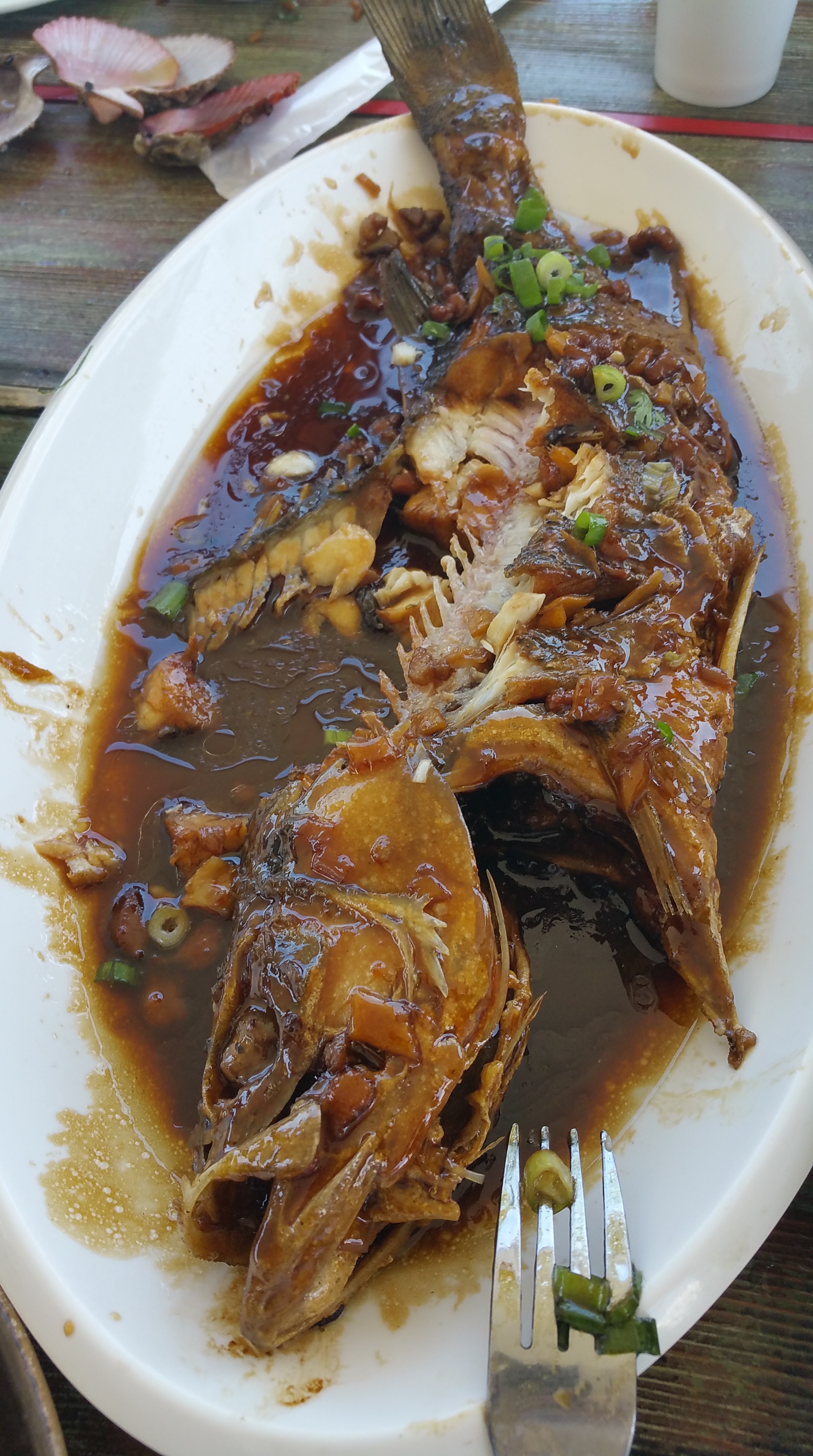 20160711_125941.jpg